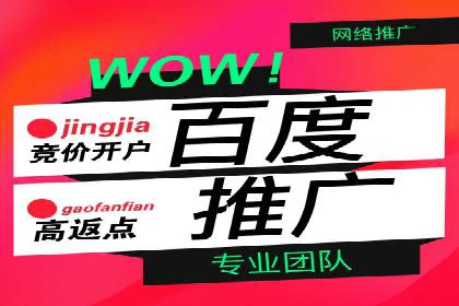 百度搜索推广案例集锦：实战技巧分享